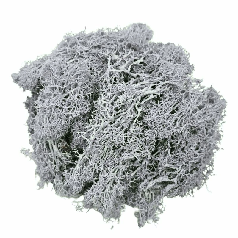 L-6150-870 不凋馴鹿苔蘚 灰