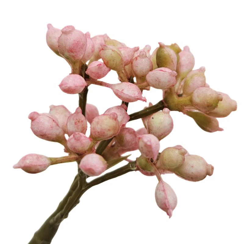 FM-2605-016 地中海莢蒾 深粉