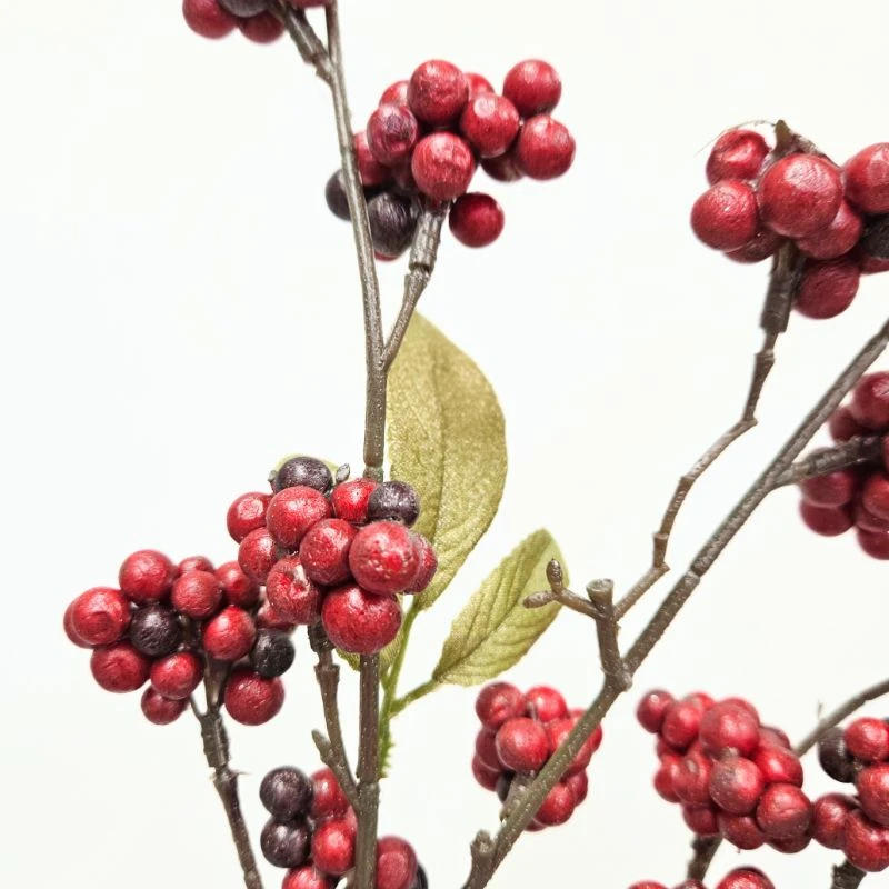 FJ-5782 閃亮紅莓果