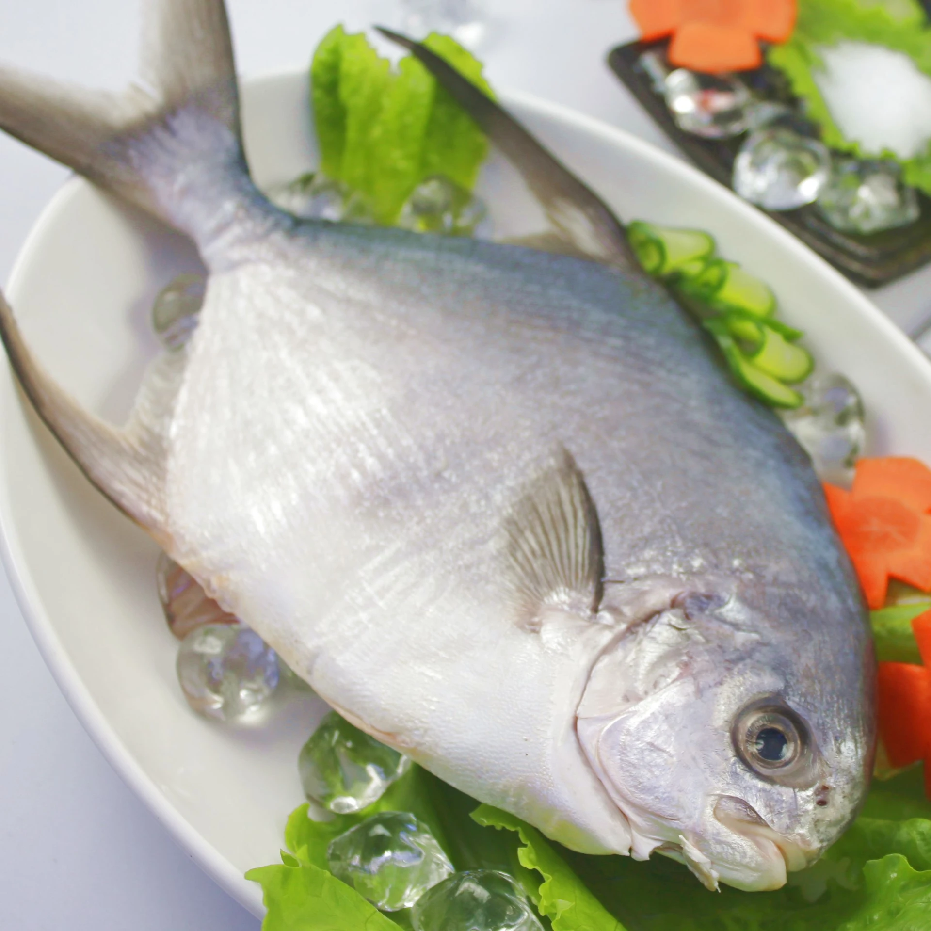【冰原鮮魚急凍】澎湖履歷金鯧魚(500g/550g)