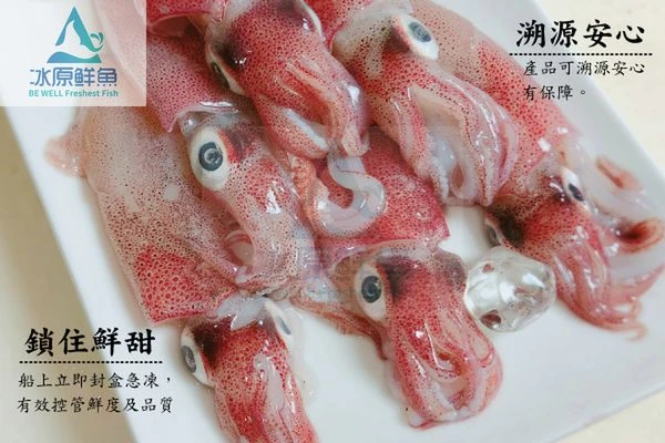 【冰原鮮魚急凍】八斗子小卷