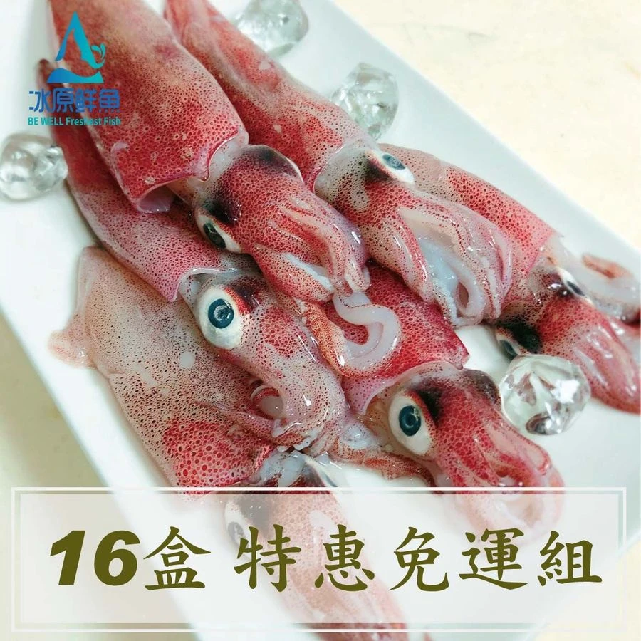 【冰原鮮魚急凍】八斗子鮮凍小卷16盒特惠免運組