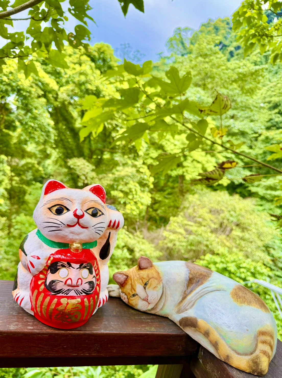 日本限定招財招福達摩招財貓(白)(大)