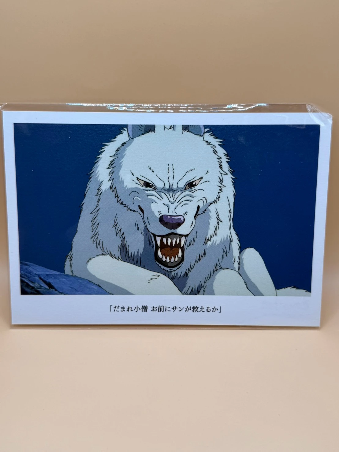 STORE迪士尼硬卡名信片