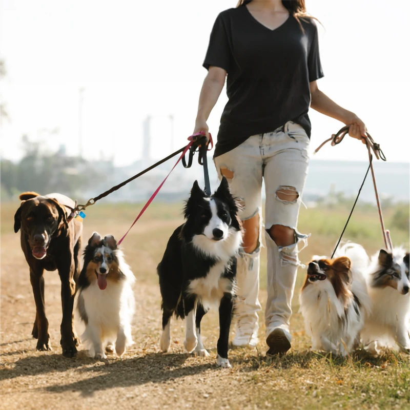 汪！媽咪說要帶我跑遍全台北的寵物公園～