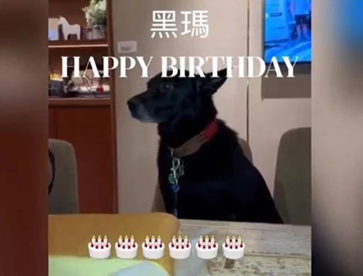 生日快樂~MOYO會員分享