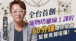 寵物塔羅線上課程