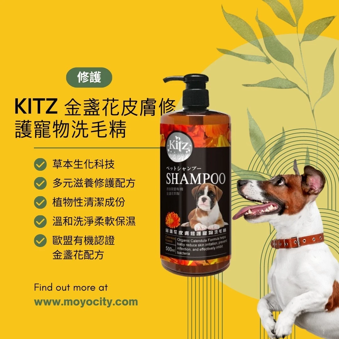 歐盟有機認證KITZ 金盞花皮膚修護寵物洗毛精 AE0001