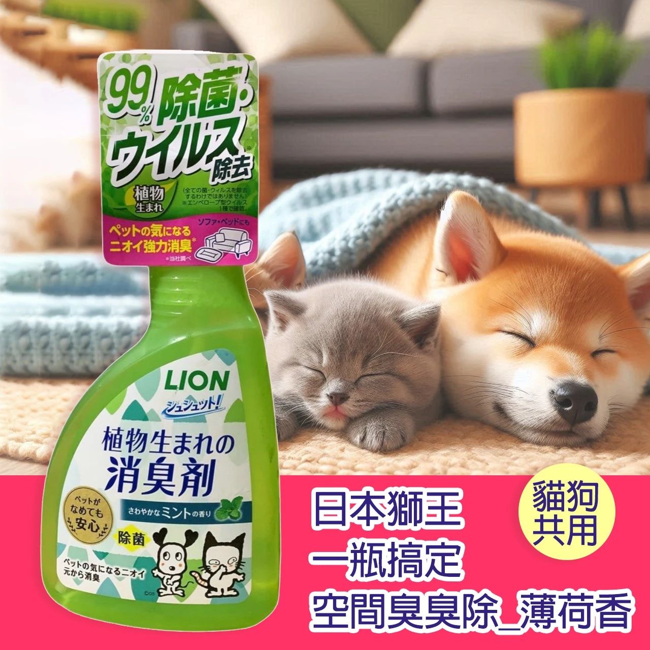 日本獅王 一瓶搞定 空間臭臭除_薄荷香  400ml