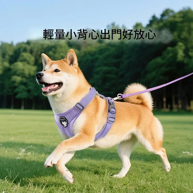 狗狗户外雙面包裹三防胸背带牽引繩