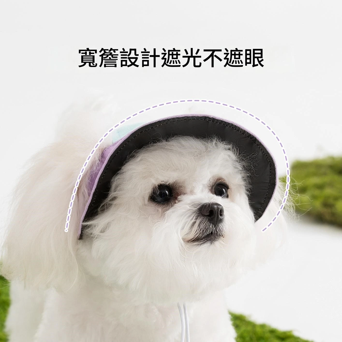 小狗狗猫咪夏季遮陽帽防晒