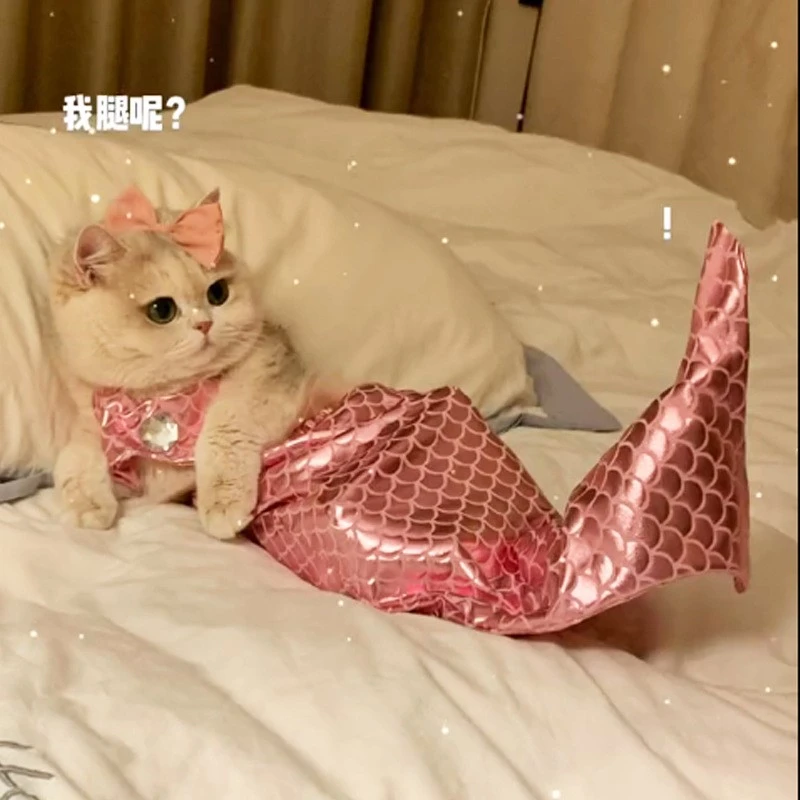 猫咪美人魚裝扮拍照服裝