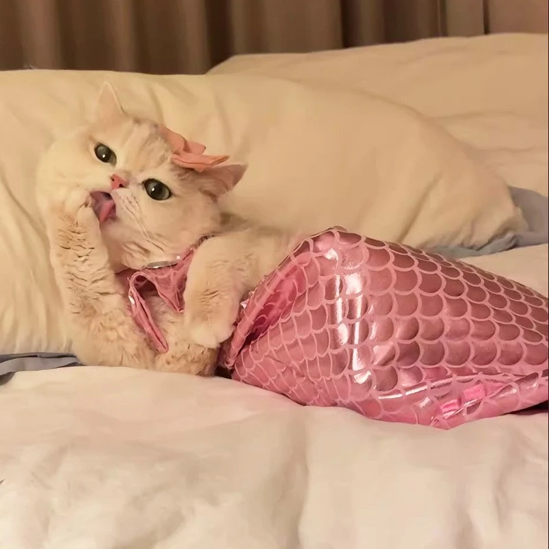 猫咪美人魚裝扮拍照服裝