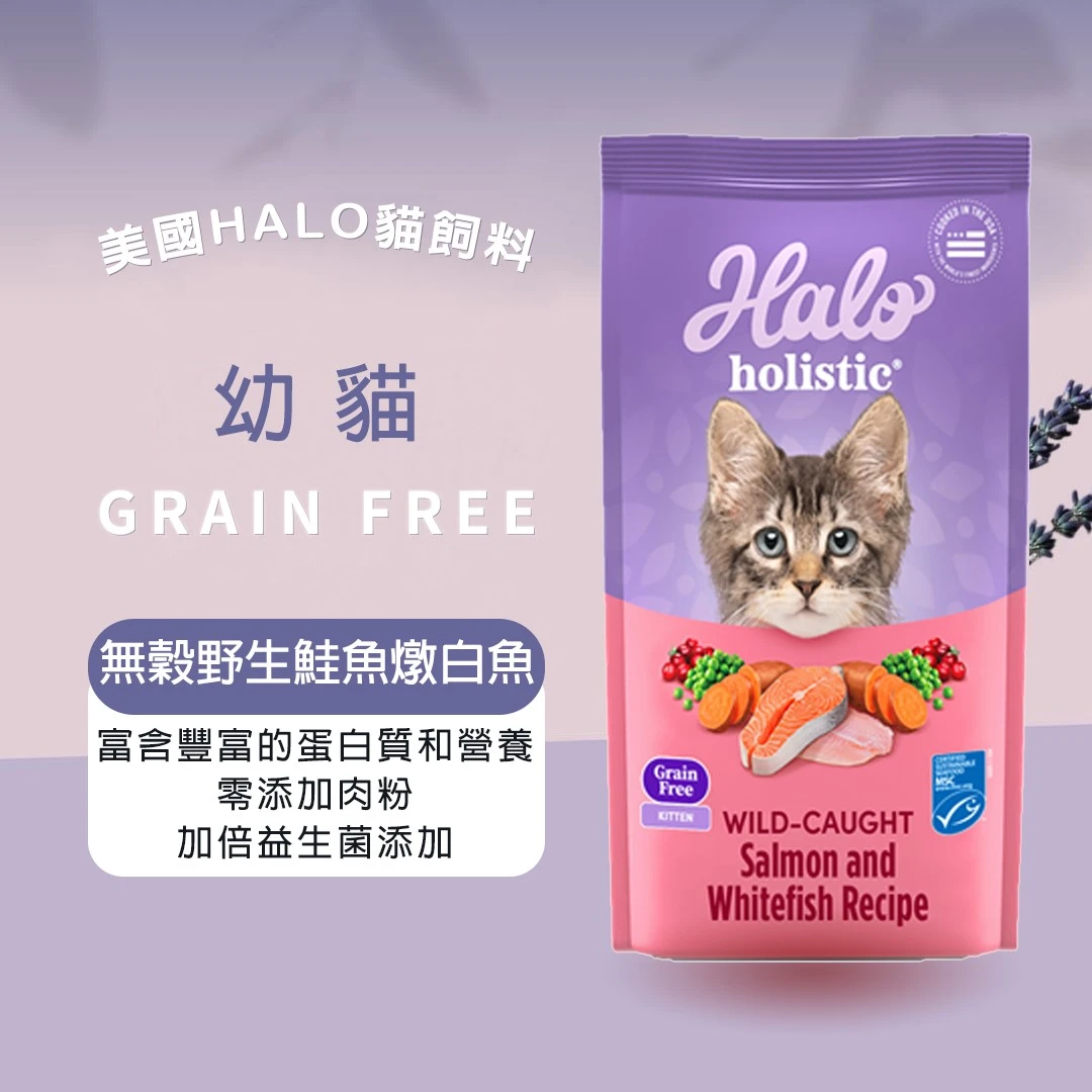 Halo 嘿囉 幼貓 無穀野生鮭魚燉白魚