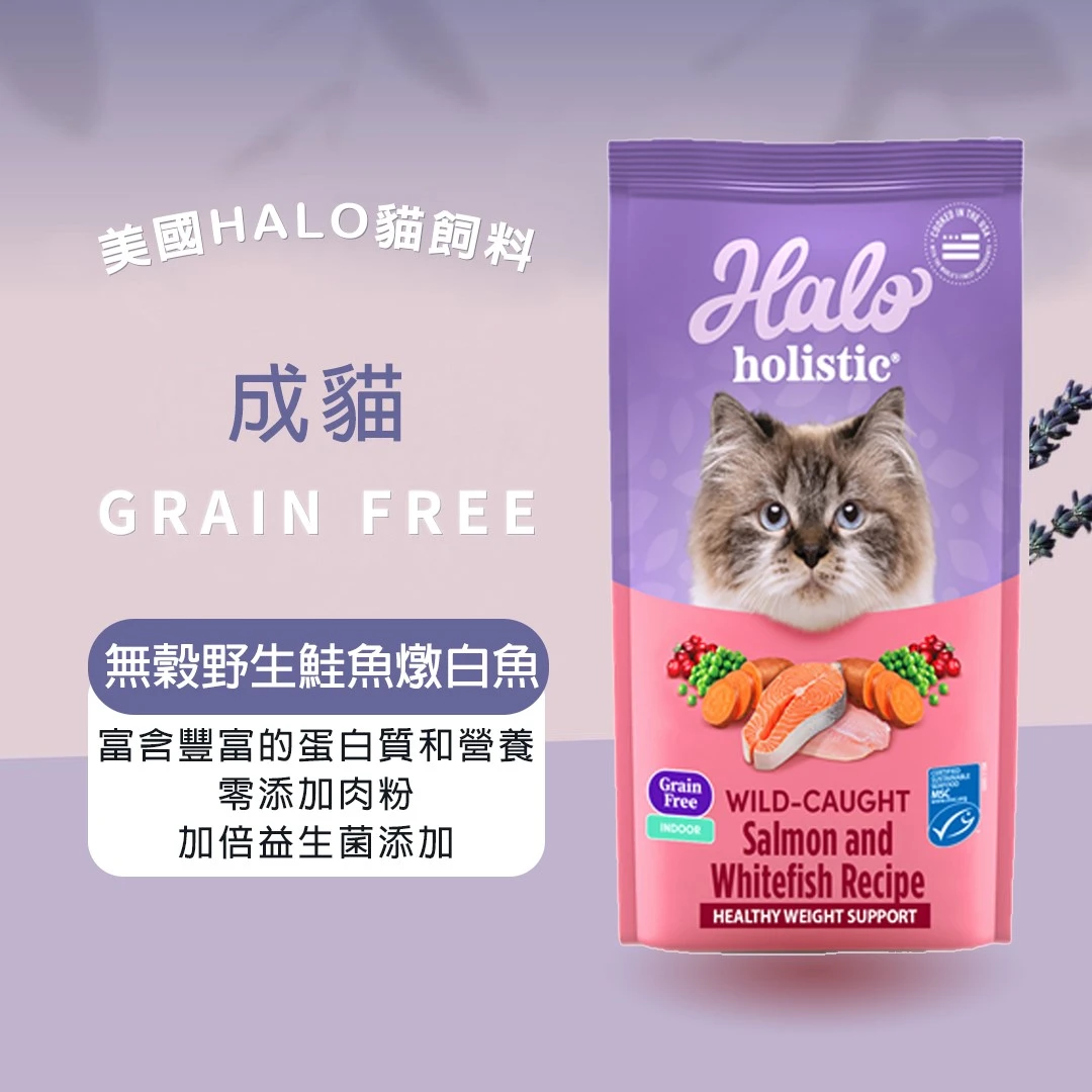 Halo 嘿囉 成貓 無穀野生鮭魚燉白魚