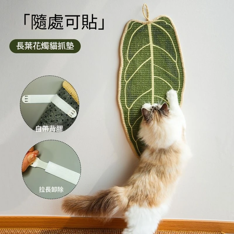 劍麻熱帶植物花燭葉子可懸掛耐磨 貓咪磨爪適用