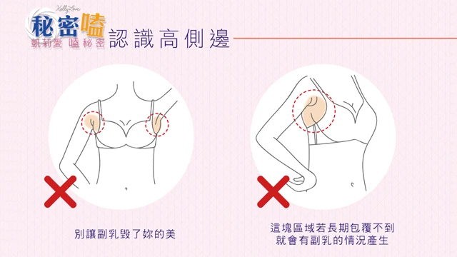 認識內衣高側邊|凱莉愛內衣版型與穿著示意