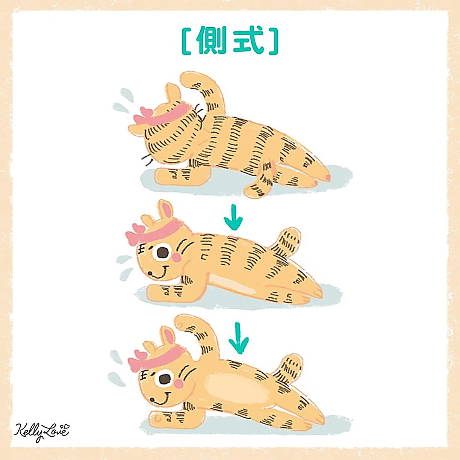 別再叫我虎背女-5招輕鬆雕塑背部 - 凱莉愛內衣文章圖片