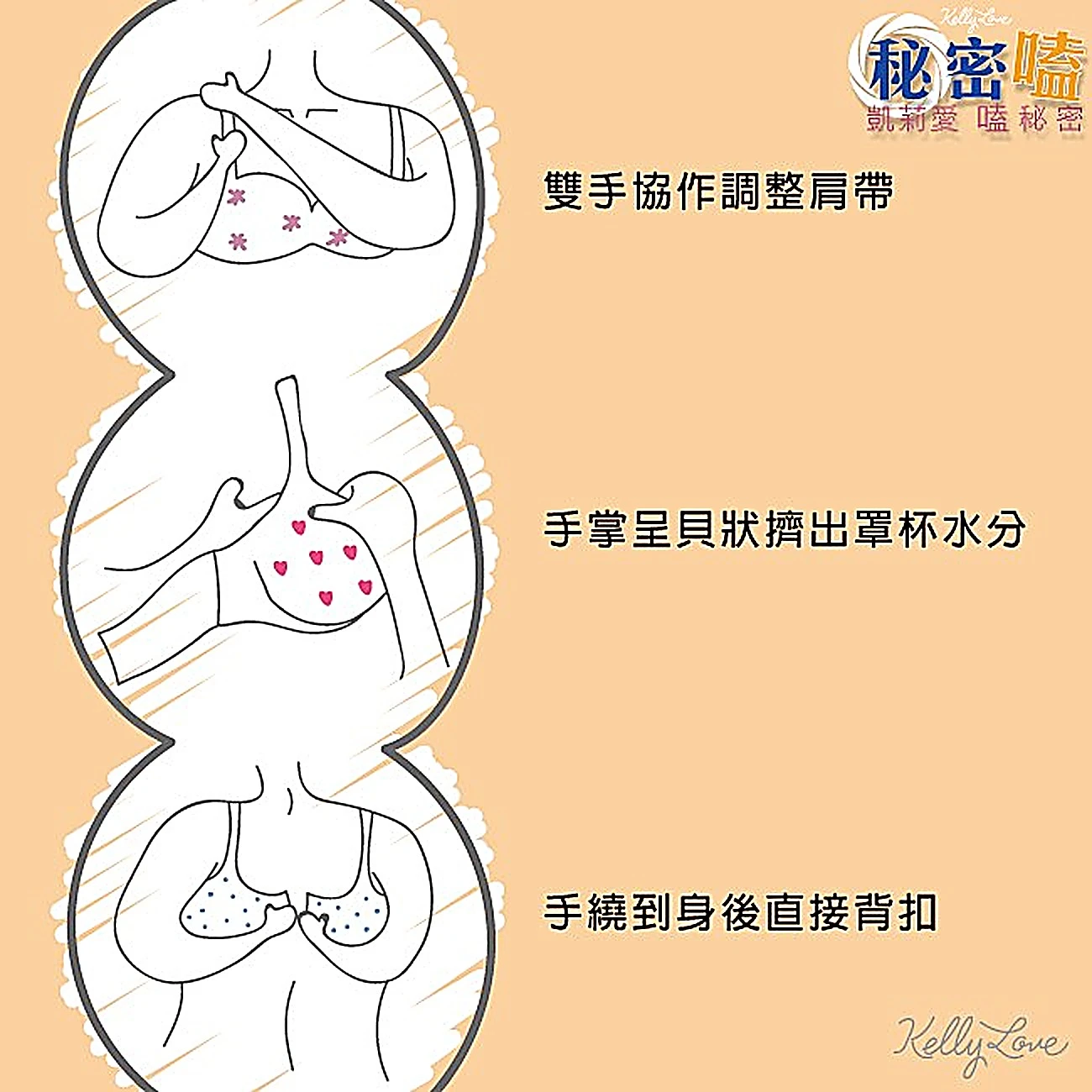 為什麼我買的內衣總是在幾周內至一個月就變形了(下)|凱莉愛內衣版型與穿著示意
