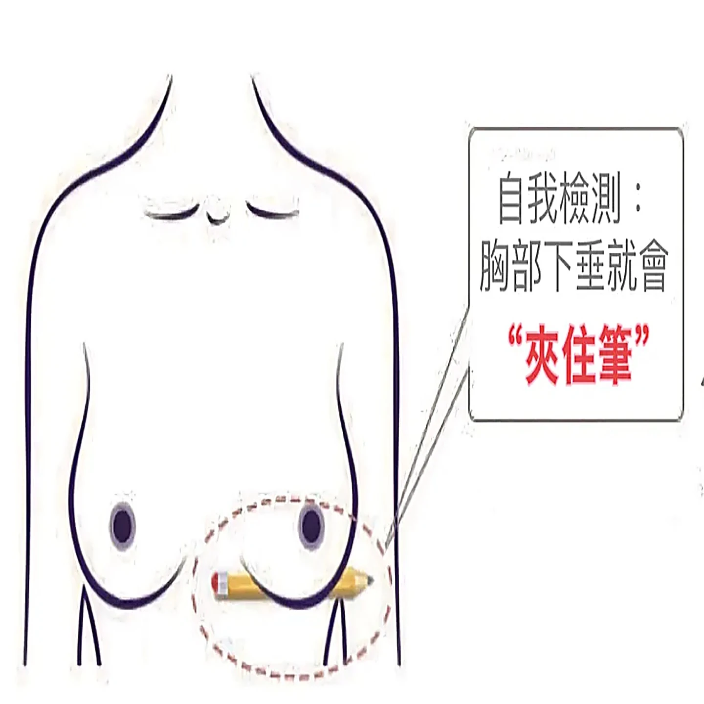胸部下垂了嗎?馬上自我檢查! - 凱莉愛內衣文章圖片
