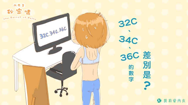 32C、34C、36C 的數字差別是？