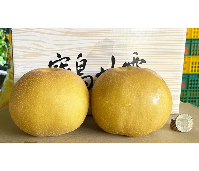 台灣寶島甘露梨 32A-34A（2顆/禮盒）