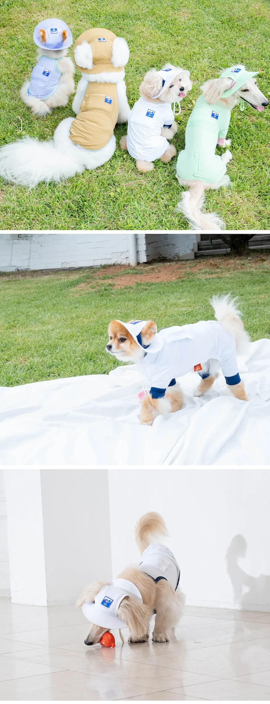 6200_6a02fdcf03746.webp