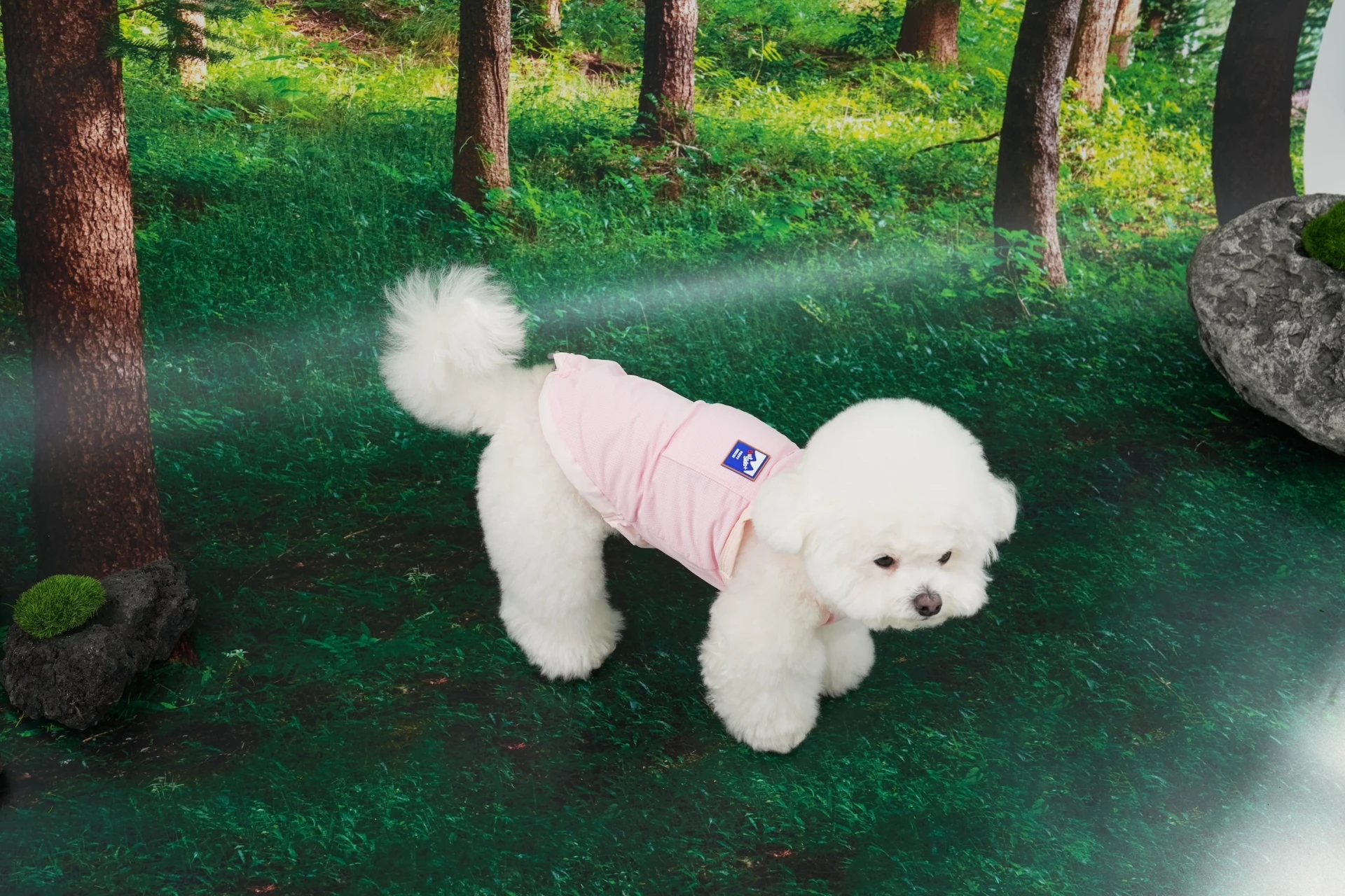 Puppy gallery🇰🇷 櫻花粉 外出涼感背心