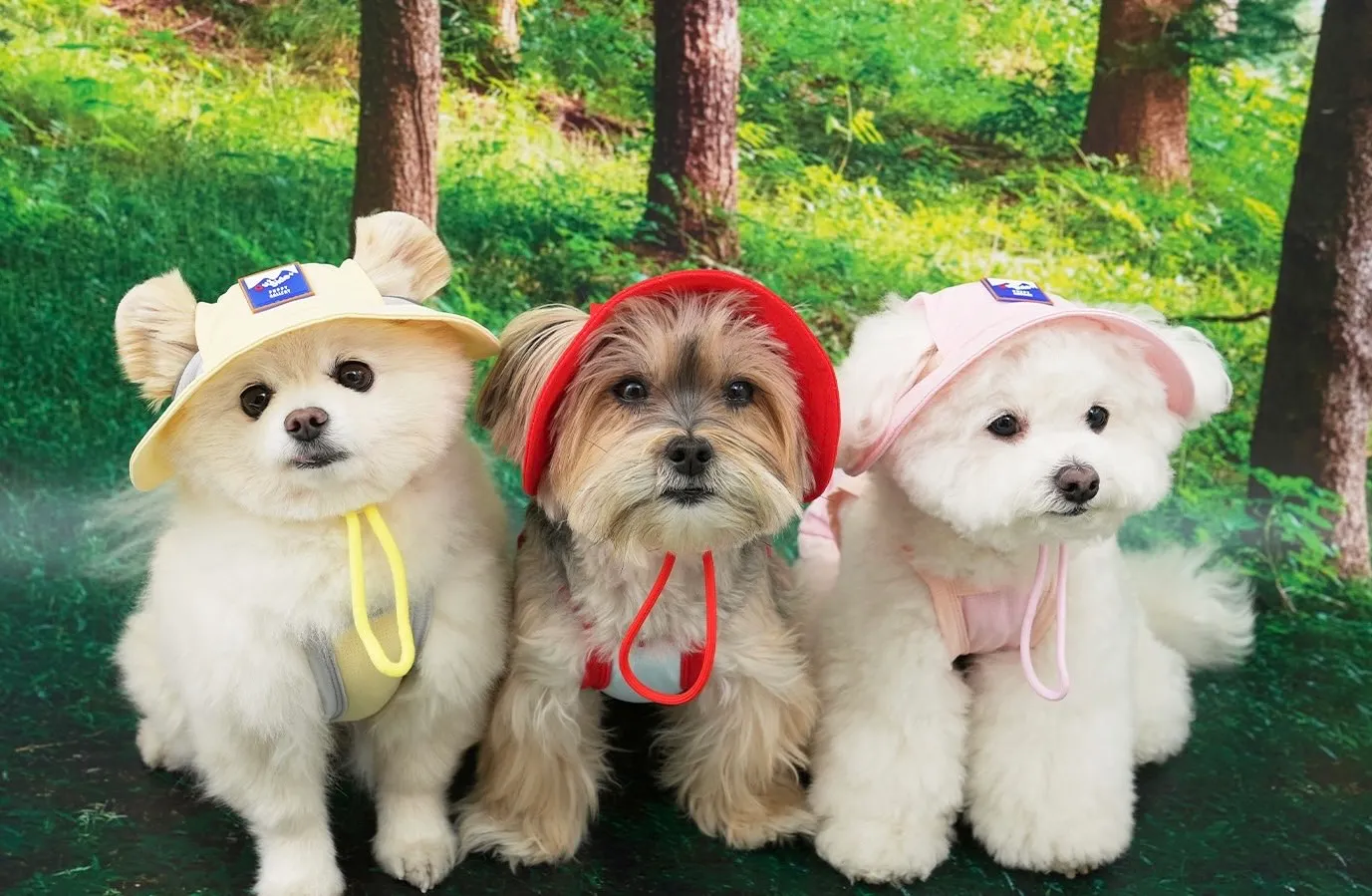 Puppy gallery🇰🇷 小雞黃 外出涼感背心