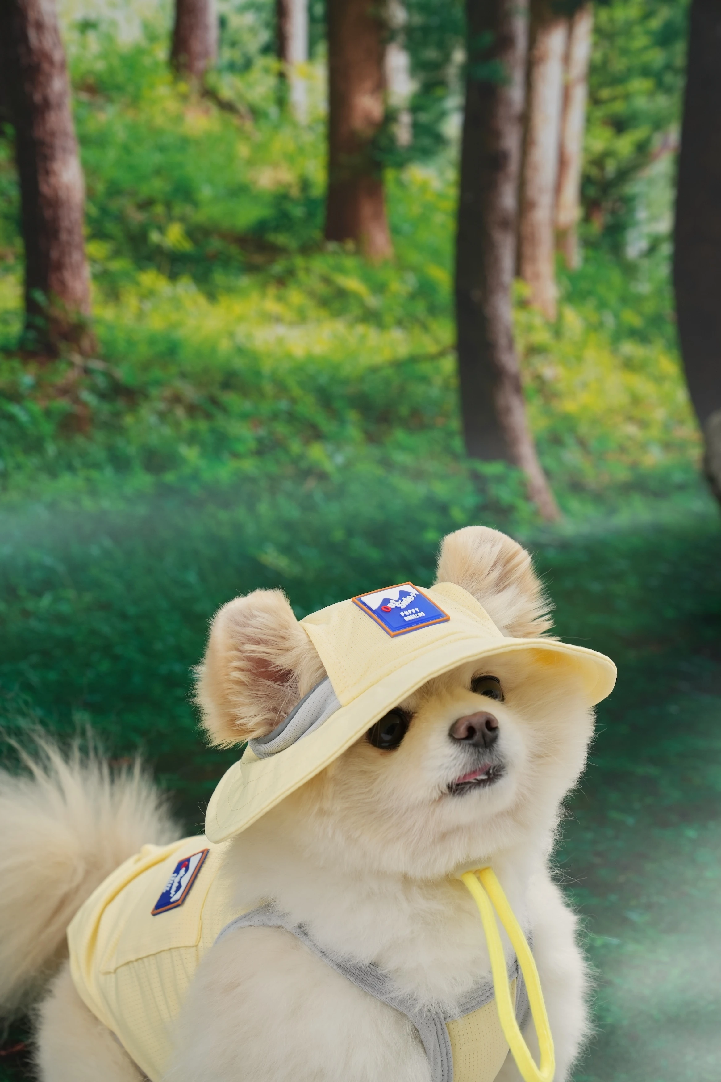 6200_6a0309d39c3f9.jpg.webp