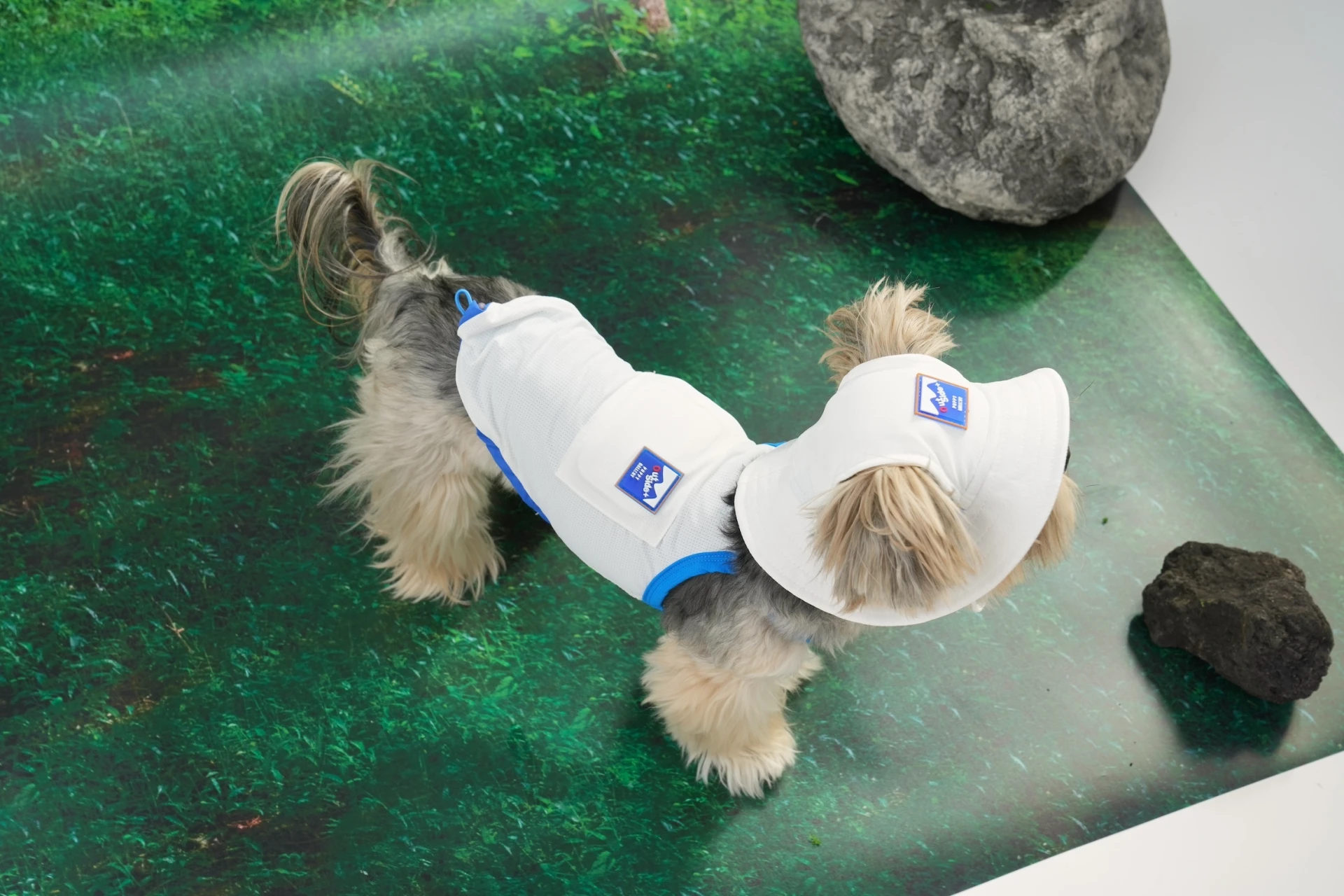 Puppy gallery🇰🇷 純淨白 外出涼感背心