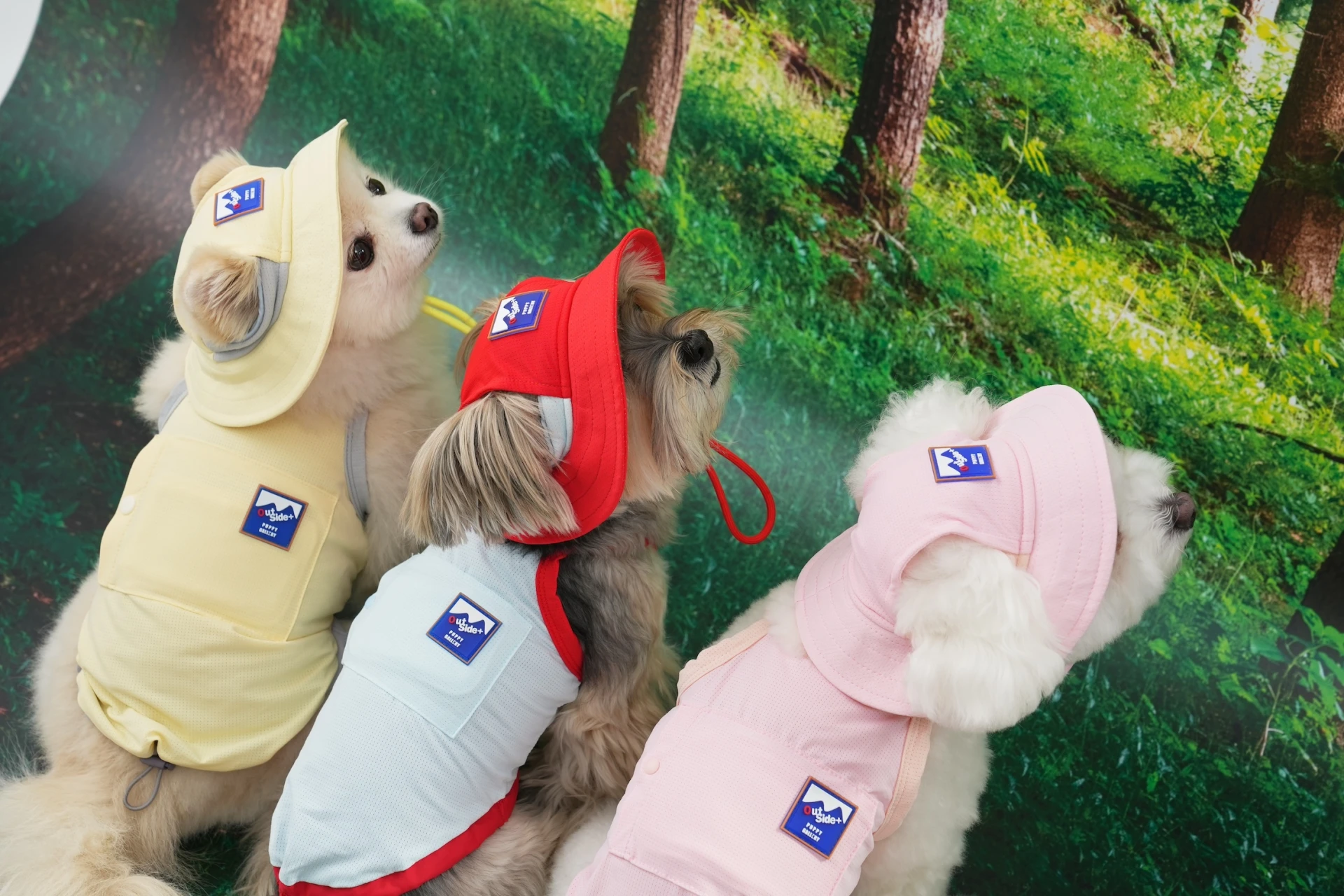 Puppy gallery🇰🇷 天空藍 外出涼感背心