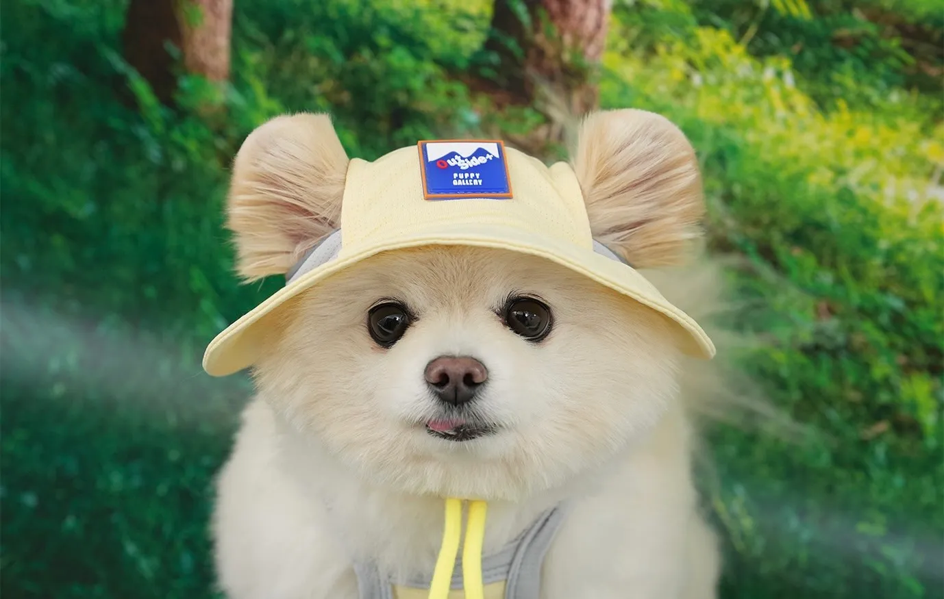 Puppy Gallery🇰🇷 小雞黃 外出涼感漁夫帽