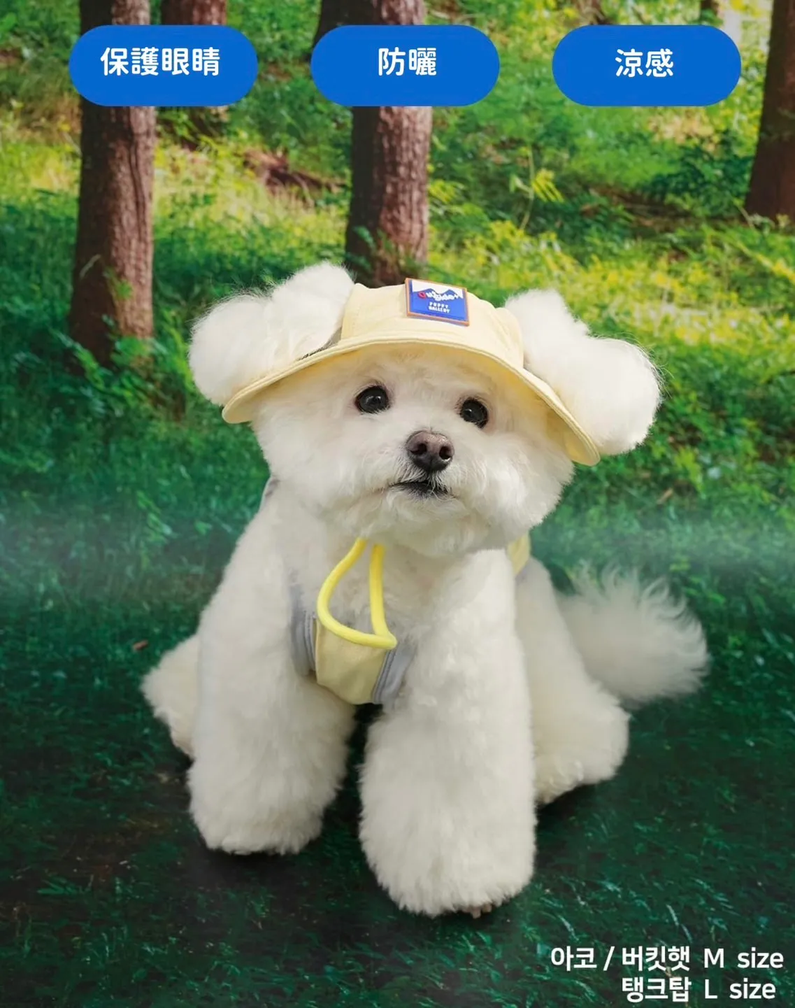 6200_6a03105fec709.webp