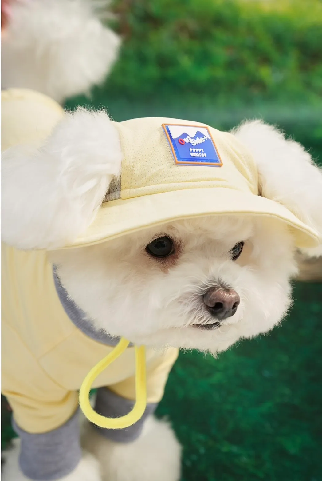 6200_6a031060878e9.webp