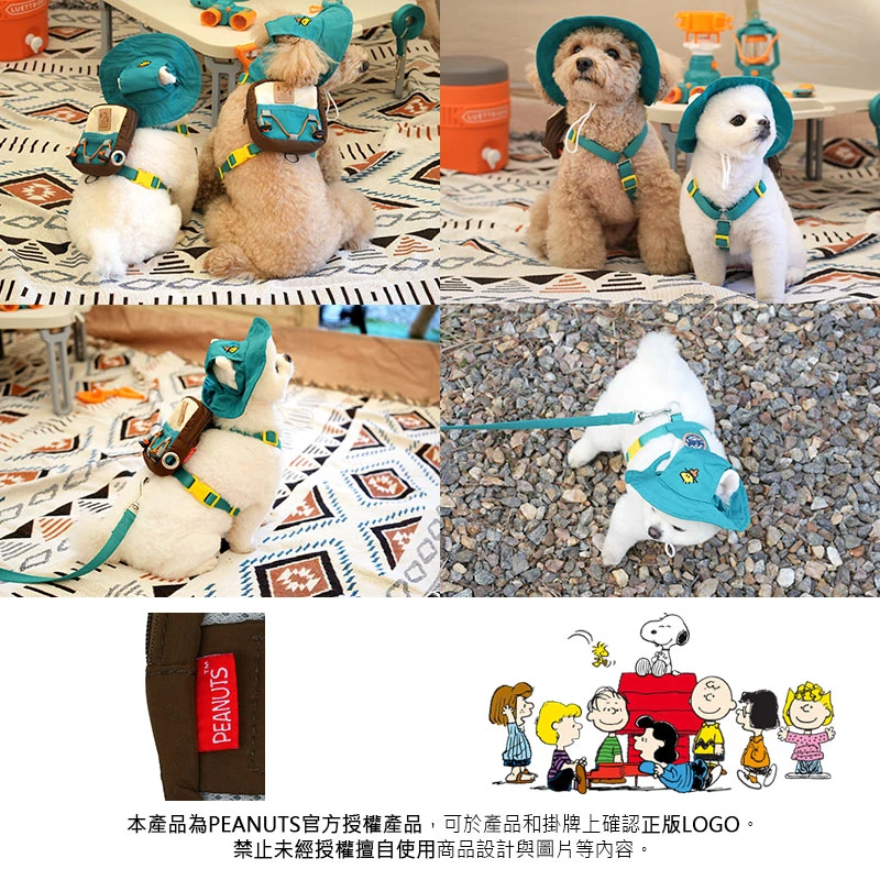 6200_6a05b32f9c1d2.jpg.webp
