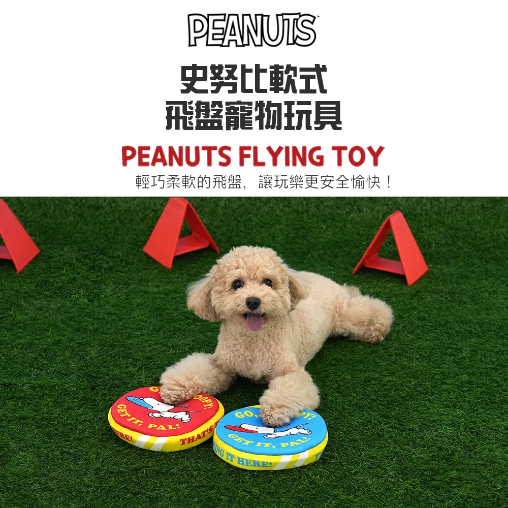6200_6a05b4e9ee61f.jpg.webp