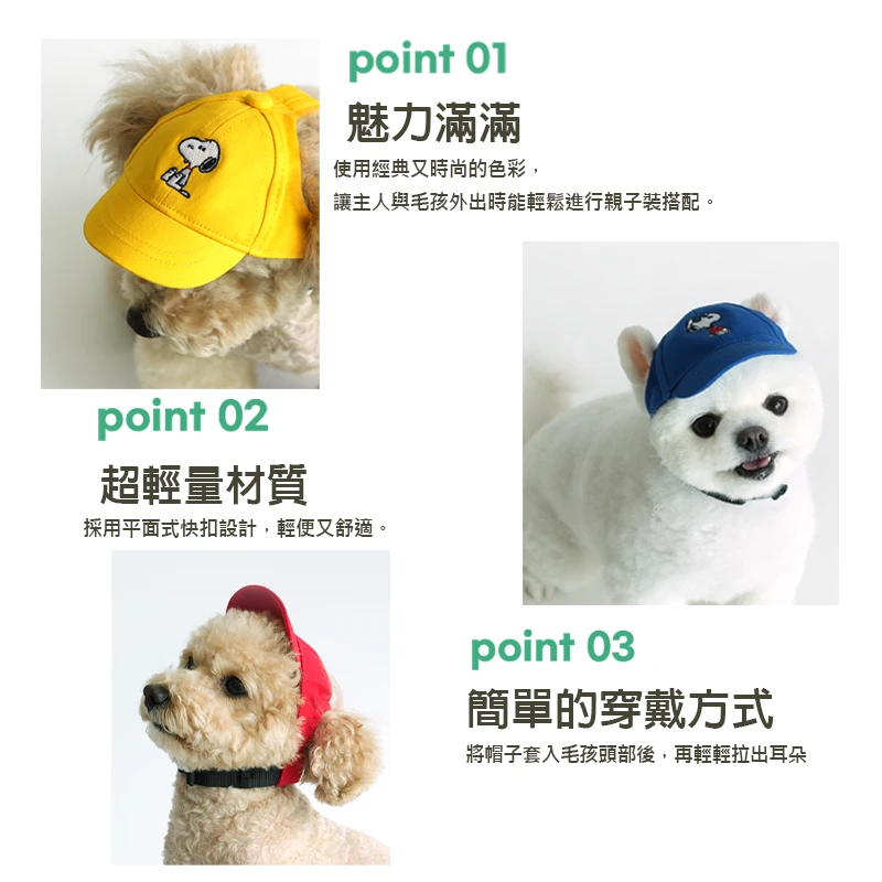6200_6a060c9c7e697.png.webp