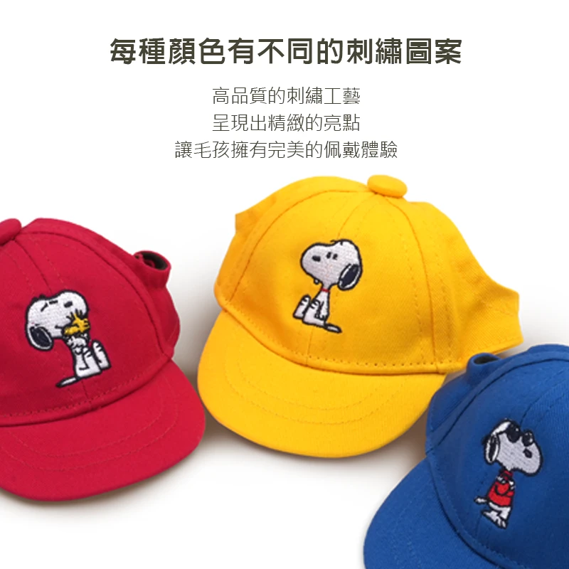 6200_6a060c9cacdf0.png.webp