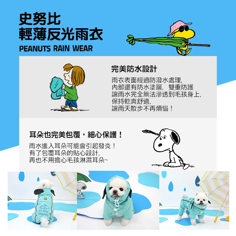 6200_6a06166cdc29e.jpg.webp