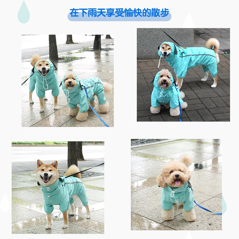 6200_6a06166d04cab.jpg.webp