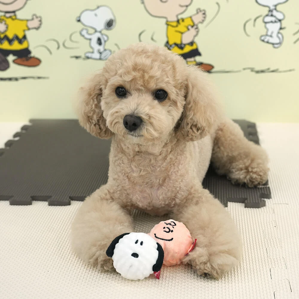 史努比 Snoopy 互動啾啾玩具球