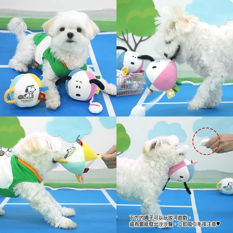 6200_6a06f6a32f787.jpg.webp