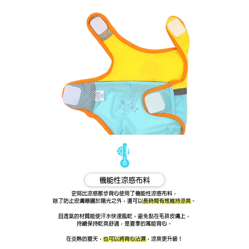 6200_6a07030da1464.jpg.webp