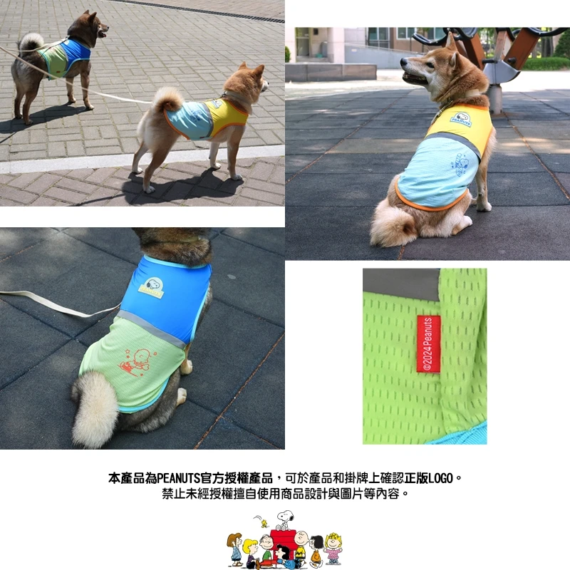 6200_6a07030daac7d.jpg.webp