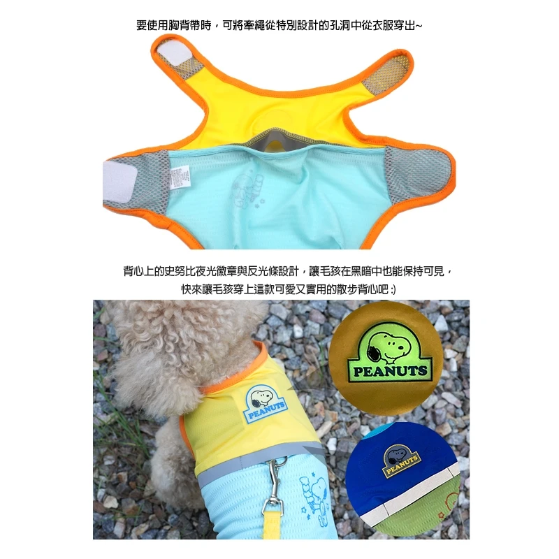6200_6a07030db04b6.jpg.webp