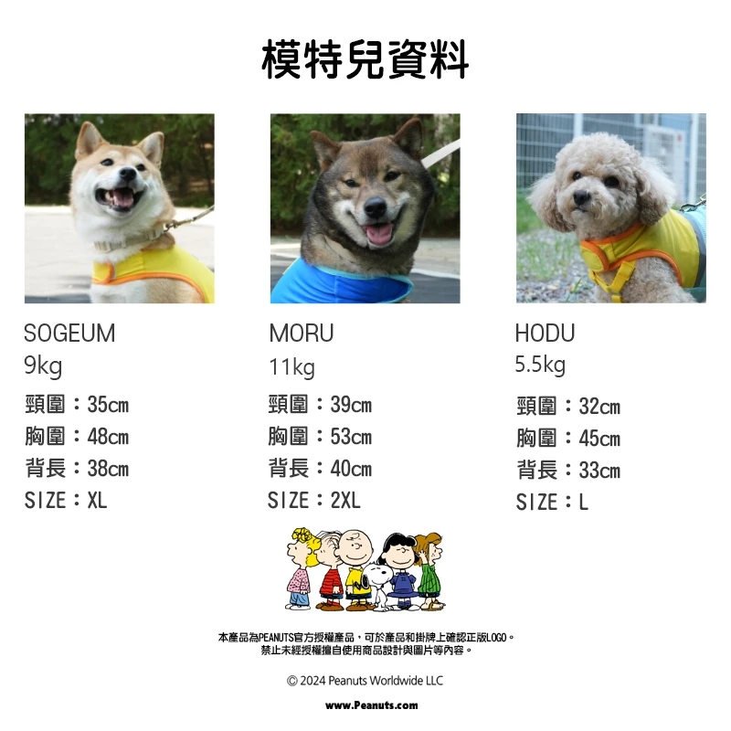 6200_6a07030de1b6e.jpg.webp