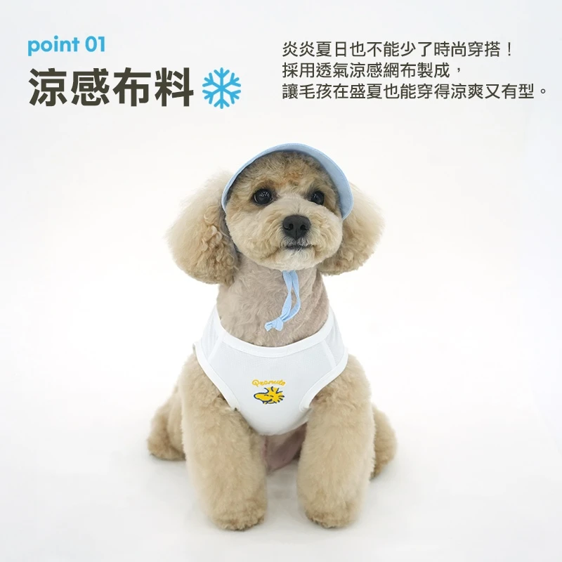6200_6a0705d264d42.jpg.webp