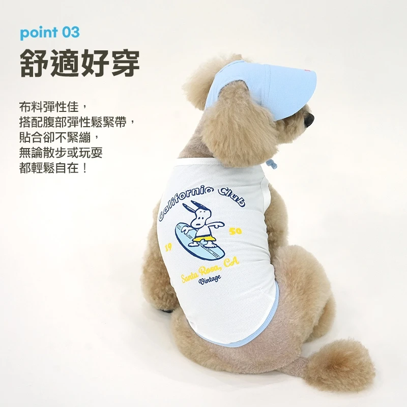 6200_6a0705d2700ed.jpg.webp