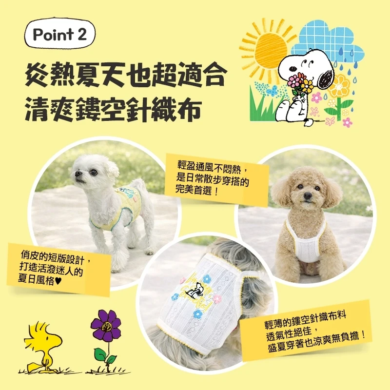 6200_6a07150c48d85.jpg.webp